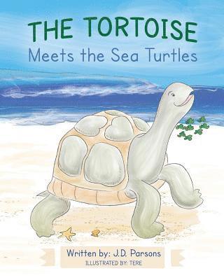 The Tortoise Meets the Sea Turtles 1