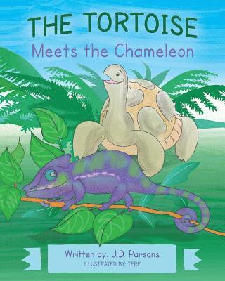 The Tortoise Meets the Chameleon 1