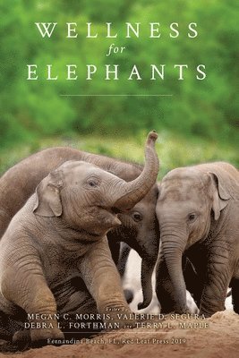 bokomslag Wellness for Elephants: Proceedings of the Jacksonville Workshop