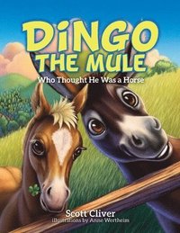 bokomslag Dingo the Mule: Who Thought He Was a Horse