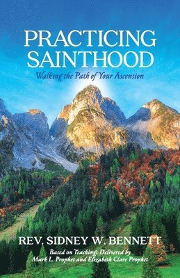 bokomslag Practicing Sainthood
