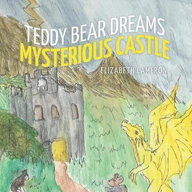 bokomslag Teddy Bear Dreams Mysterious Castle