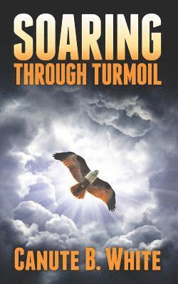 Soaring Through Turmoil 1