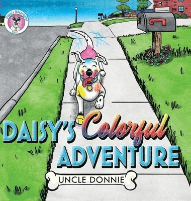 bokomslag Daisy's Colorful Adventure