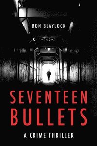 bokomslag Seventeen Bullets