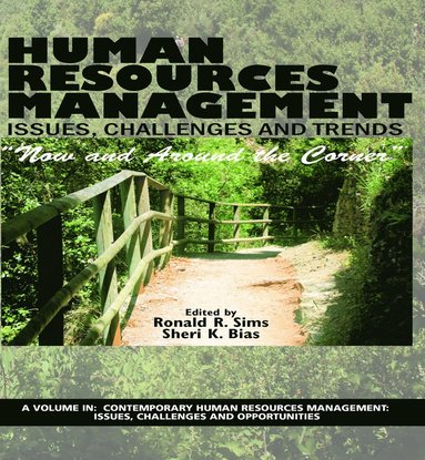 bokomslag Human Resources Management Issues, Challenges and Trends