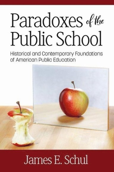 bokomslag Paradoxes of the Public School