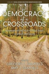 bokomslag Democracy at a Crossroads