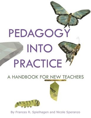 bokomslag Pedagogy into Practice