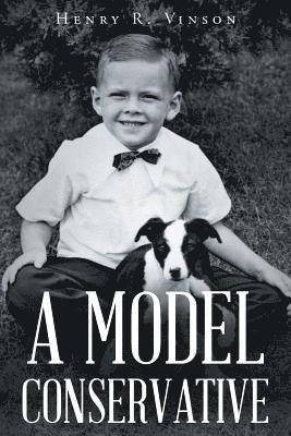 bokomslag Model Conservative