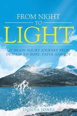 Donna Jones - From Night to Light, Häftad
