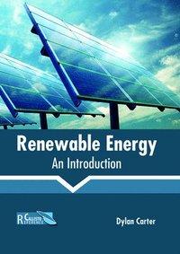 bokomslag Renewable Energy: An Introduction