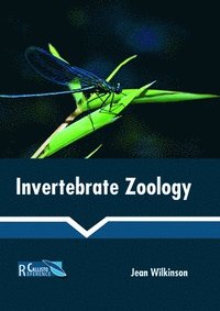 bokomslag Invertebrate Zoology