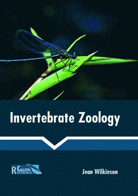 bokomslag Invertebrate Zoology