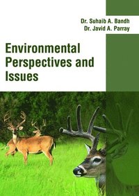 bokomslag Environmental Perspectives and Issues