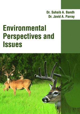 bokomslag Environmental Perspectives and Issues