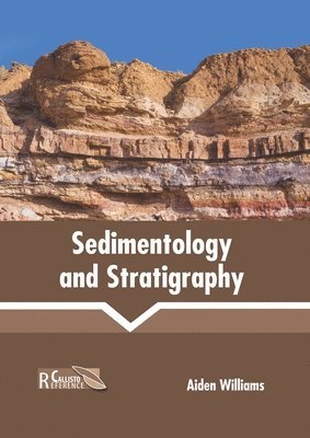 bokomslag Sedimentology and Stratigraphy