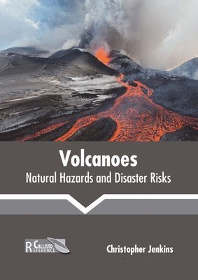 Volcanoes: Natural Hazards and Disaster Risks 1