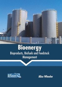 bokomslag Bioenergy: Bioproducts, Biofuels and Feedstock Management