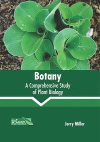 bokomslag Botany: A Comprehensive Study of Plant Biology