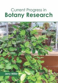 bokomslag Current Progress in Botany Research