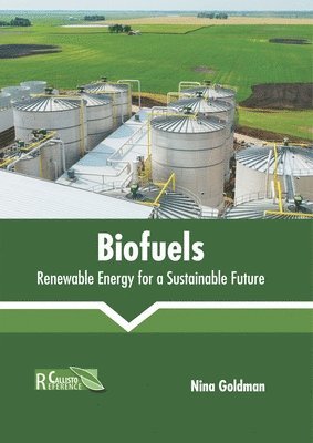 bokomslag Biofuels: Renewable Energy for a Sustainable Future