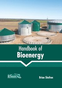 bokomslag Handbook of Bioenergy