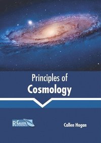bokomslag Principles of Cosmology