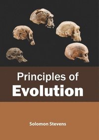 bokomslag Principles of Evolution