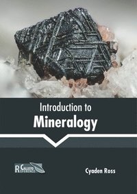 bokomslag Introduction to Mineralogy
