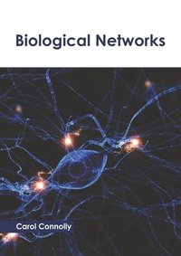 bokomslag Biological Networks