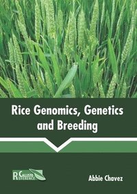 bokomslag Rice Genomics, Genetics and Breeding