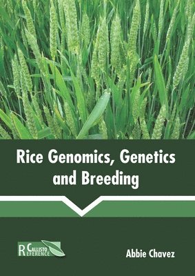 bokomslag Rice Genomics, Genetics and Breeding