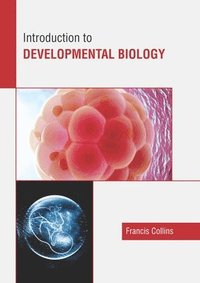 bokomslag Introduction to Developmental Biology