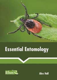 bokomslag Essential Entomology