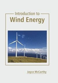 bokomslag Introduction to Wind Energy
