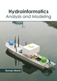 bokomslag Hydroinformatics: Analysis and Modeling