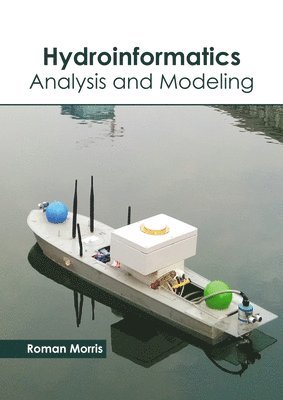 bokomslag Hydroinformatics: Analysis and Modeling