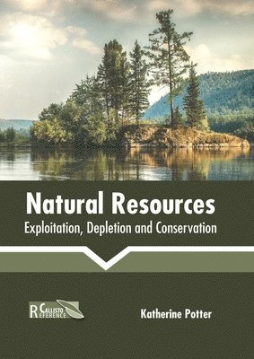 bokomslag Natural Resources: Exploitation, Depletion and Conservation