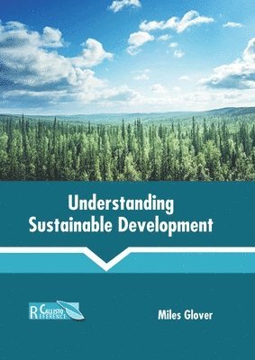 bokomslag Understanding Sustainable Development