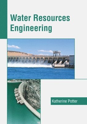 bokomslag Water Resources Engineering