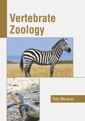 bokomslag Vertebrate Zoology