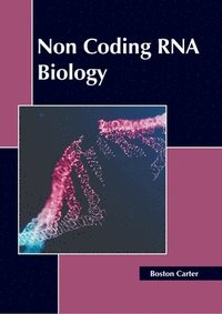 bokomslag Non Coding RNA Biology