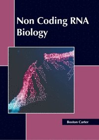 bokomslag Non Coding RNA Biology