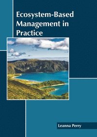 bokomslag Ecosystem-Based Management in Practice