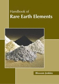 bokomslag Handbook of Rare Earth Elements