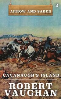 bokomslag Cavanaugh's Island