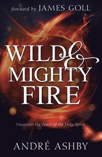 bokomslag Wild and Mighty Fire