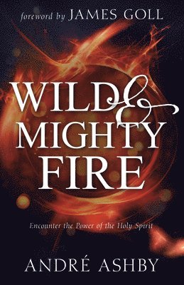 bokomslag Wild and Mighty Fire: Encounter the Power of the Holy Spirit