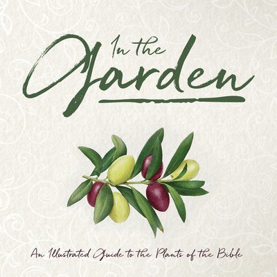 In the Garden: An Illustrated Guide to the Plants of the Bible 1